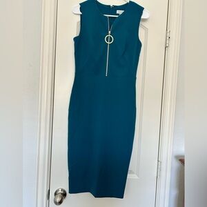 Calvin Klein jewel toned dress
